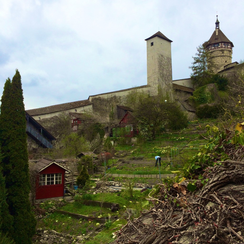 munot -schaffhausen