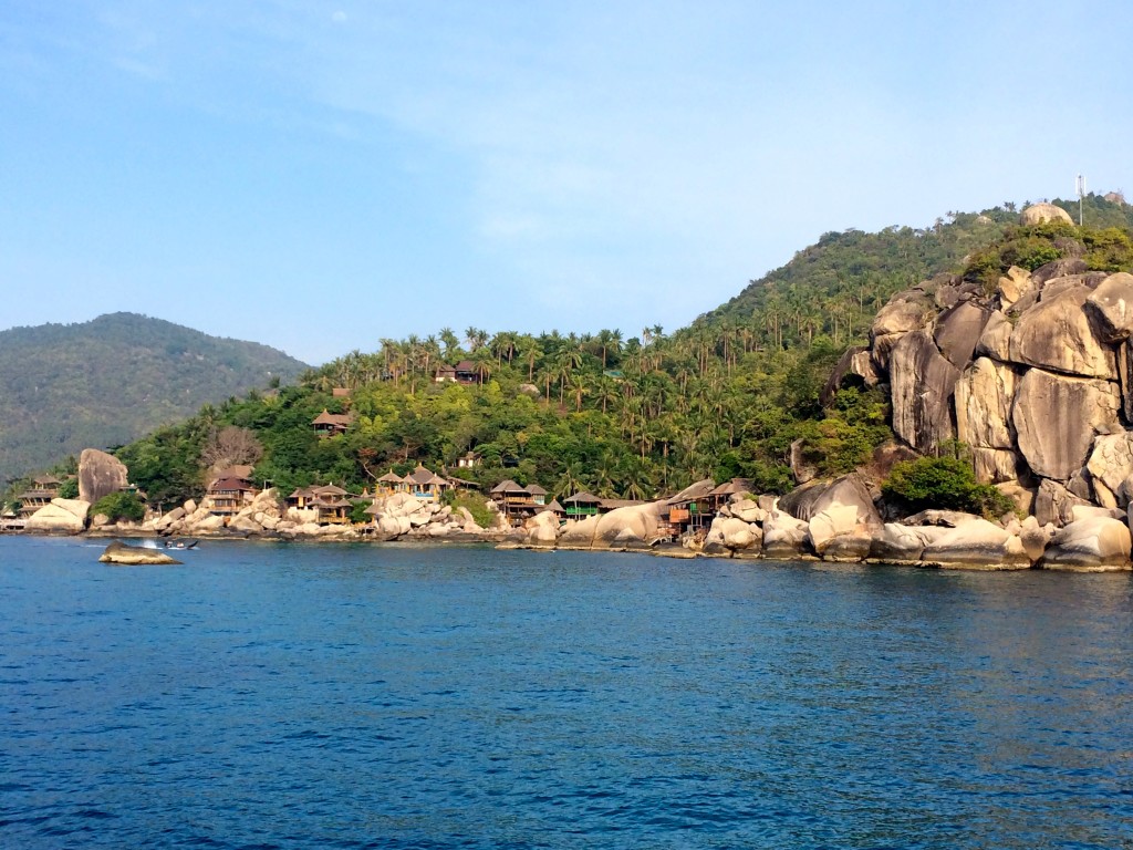 scuba diving koh tao