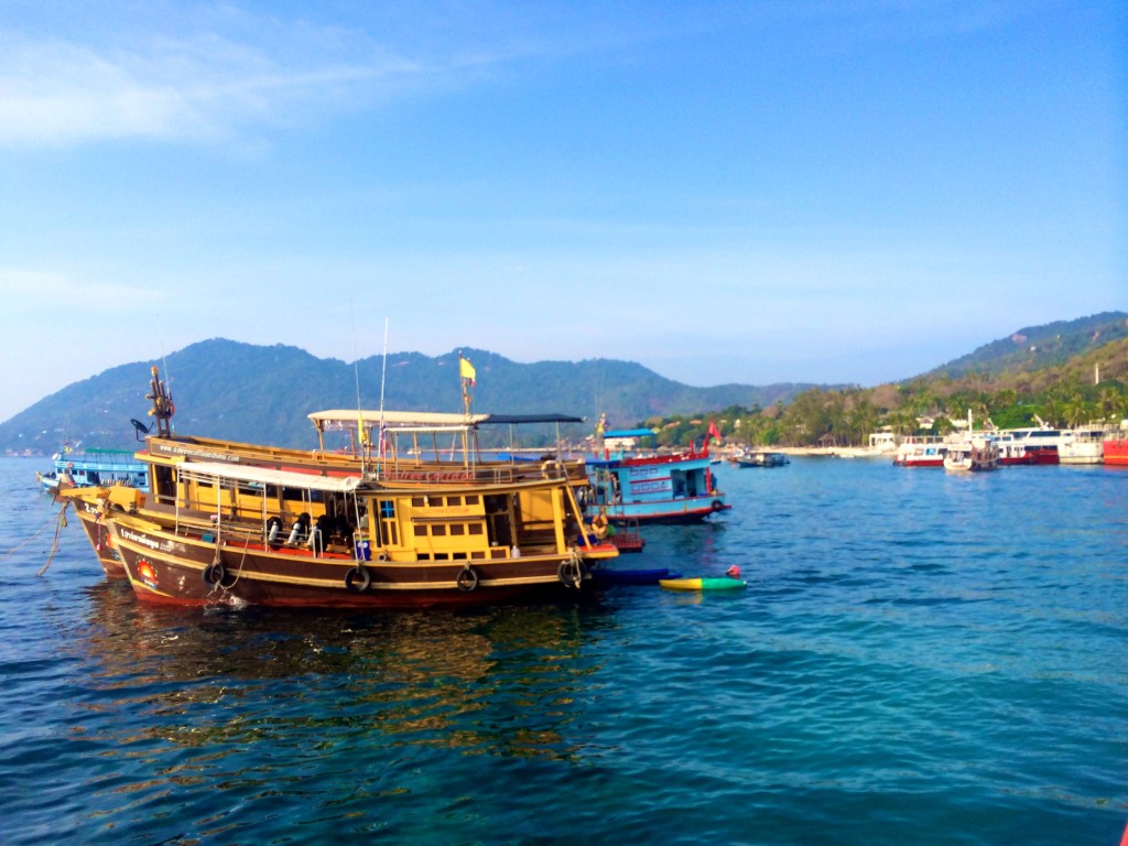 scuba diving koh tao