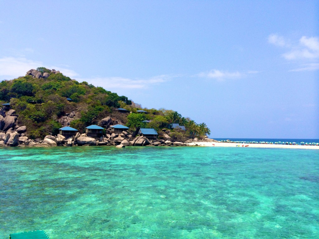 scuba diving koh tao