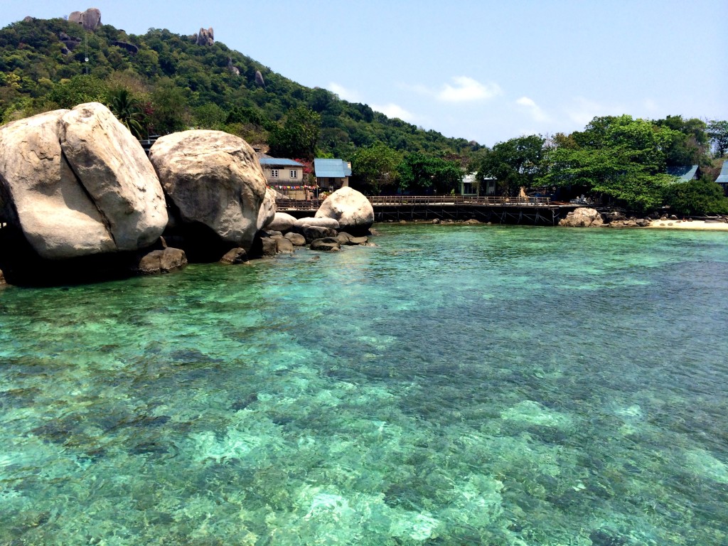 scuba diving koh tao